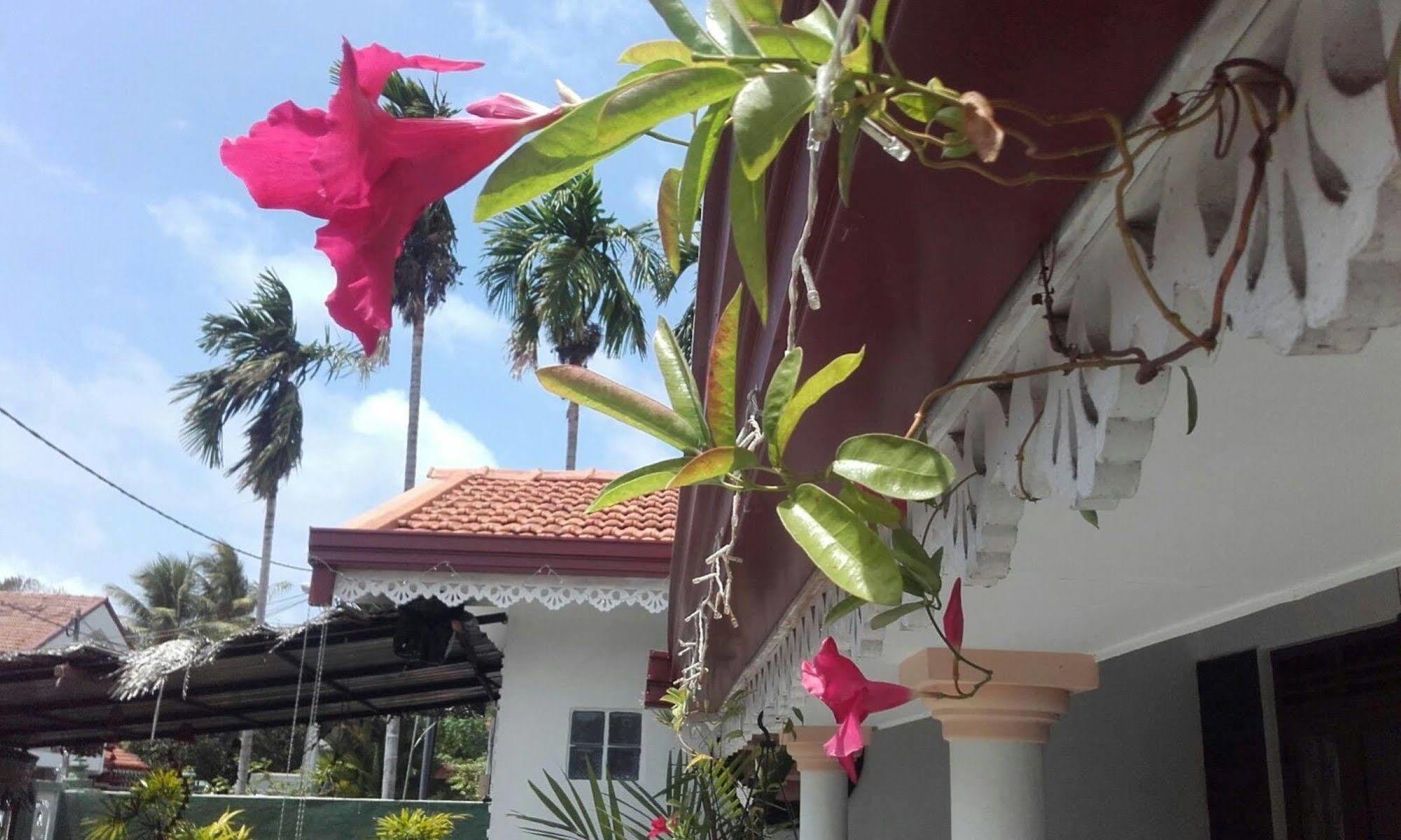 Alexandra Family Villa Negombo Exterior photo